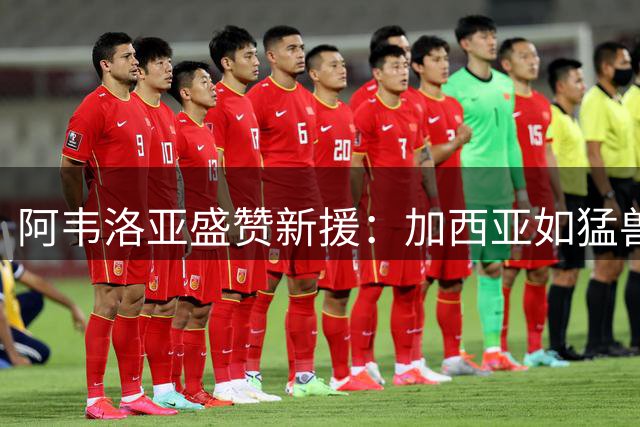阿韦洛亚盛赞新援：加西亚如猛兽 帕拉西奥斯似魔法师