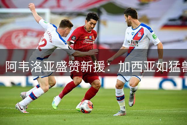 阿韦洛亚盛赞新援：加西亚如猛兽 帕拉西奥斯似魔法师
